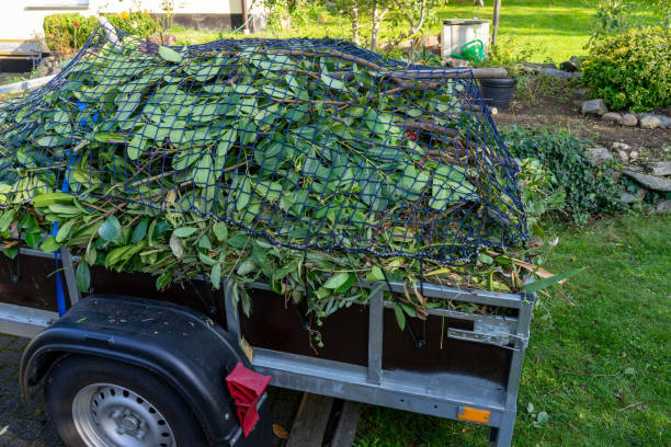 Best Estate Cleanout  in Knoxville, IA